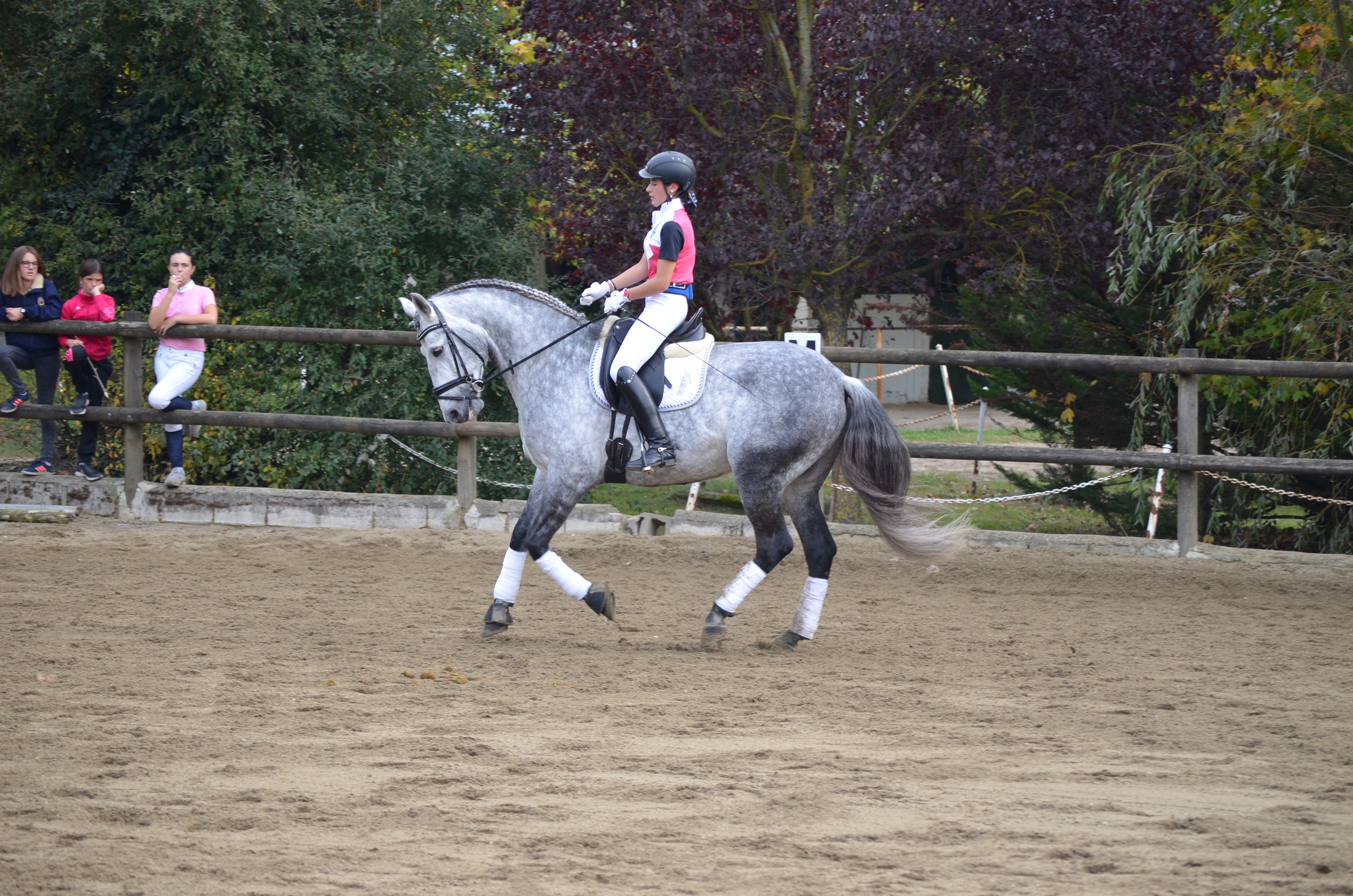 Resultados Finales Campeonato Navarro de Doma Clásica 2015